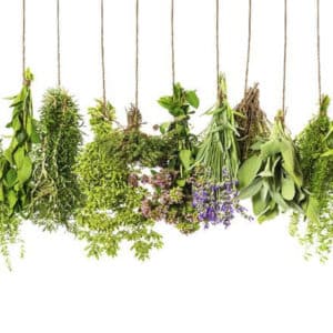 Herbs
