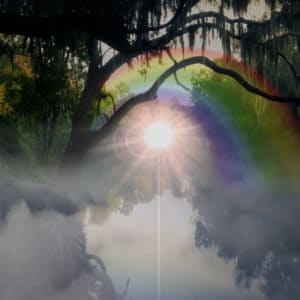 Journeying Oil Blend