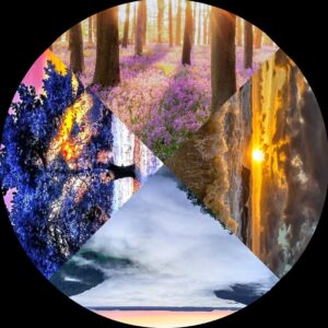 Solar Festivals - (4 pack)