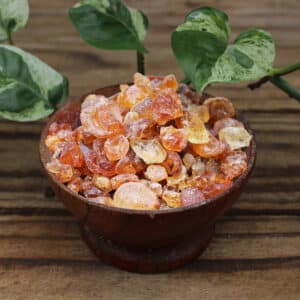 Gum Arabic (Senegalia senegal)