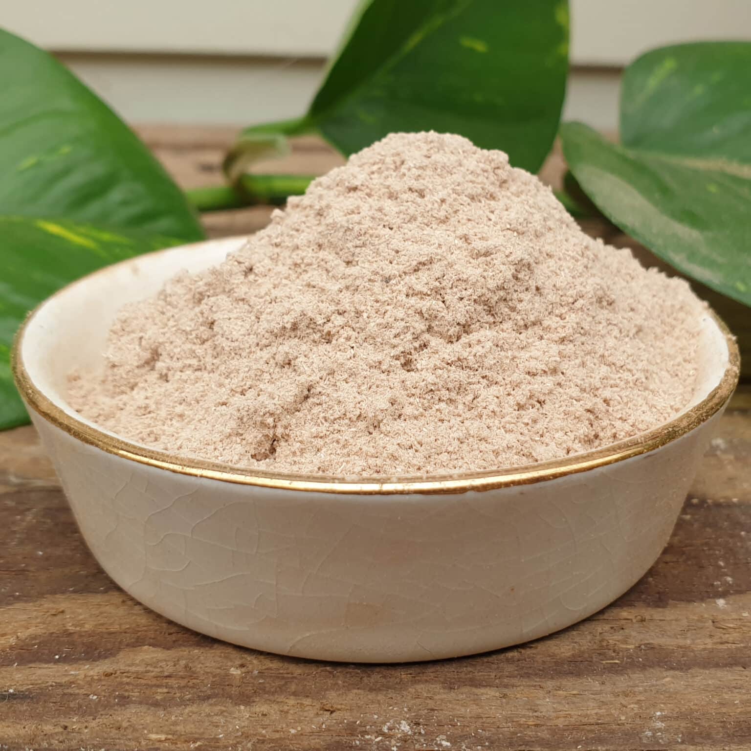 Joss Powder (Litsea glutinosa) – Druid Alchemy