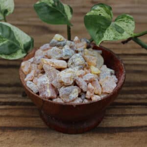 White Copal (Copaifera officinalis)