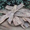Agarwood Aloeswood Chips Agarwood Aloeswood Chips