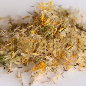 Arnica Flowers (Arnica montana)