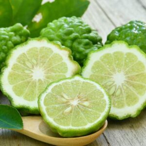 Bergamot (Citrus bergamia)