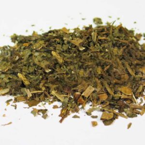 Celandine, Greater (Chelidonium majus)