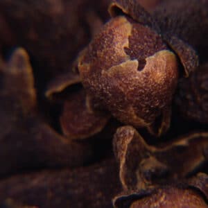 Clove Bud (Syzygium aromaticum)