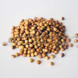 Coriander Seed (Coriandum sativum)