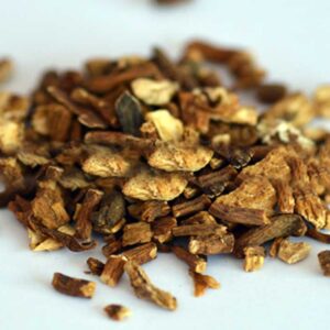 Dandelion Root (Taraxacum officinalis)