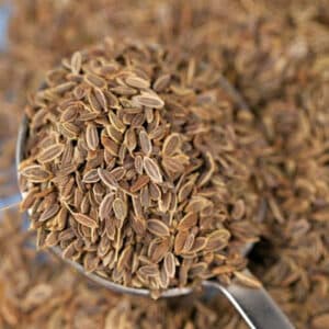Dill Seed (Anthem graveolens)