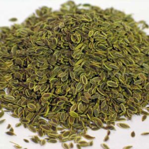 Dill Seed (Anethum graveolens)