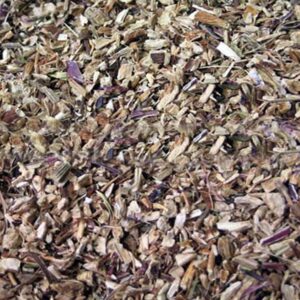 Echinacea Purpurea Root (Echinacea purpurea)