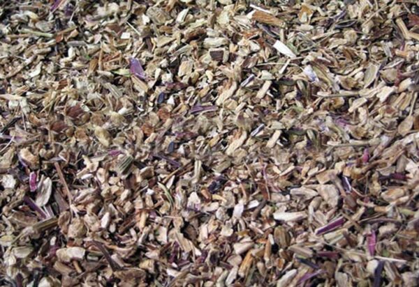 Echinacea Purpurea Root (Echinacea purpurea)