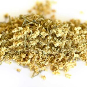 Elderflower (Sambuccus nigra)