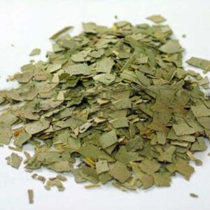 Eucalyptus Leaf (Eucalyptus globulus)