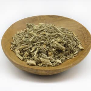Horehound - Black (Ballota nigra)