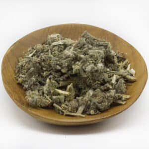 Horehound - White (Marrubium vulgare)
