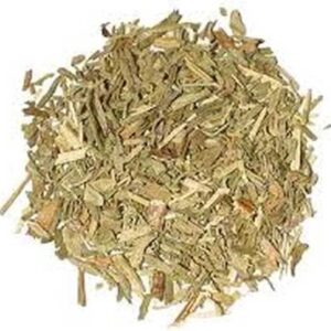 Hyssop (Hyssopus officinalis)