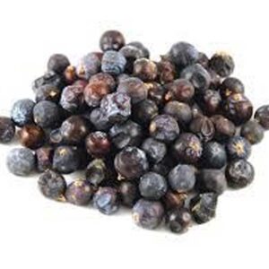 Juniper Berries (Juniperus communis)
