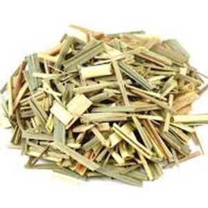 Lemon Grass (Cymbopogon citratus)