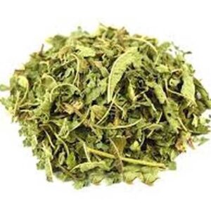 Lemon Verbena (Alousia triphylla)