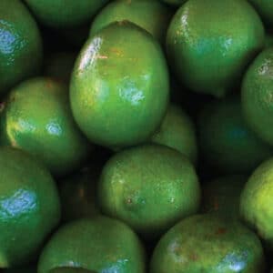 Lime (Citrus aurantifolia)