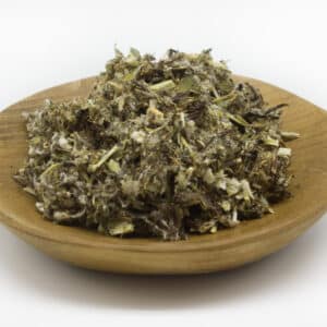 Mugwort (Artemisia vulgaris)