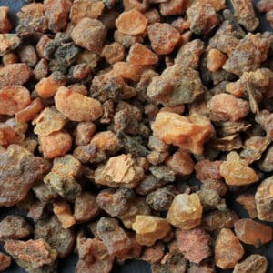 Myrrh (Commiphora myrrha)