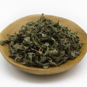 Peppermint (Mentha piperita)