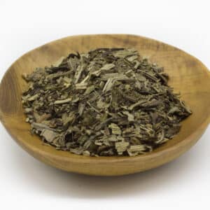 Plantain – broad leaf (Plantago major)