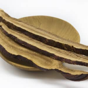 Reishi Mushroom Slices (Ganoderma lucidum)