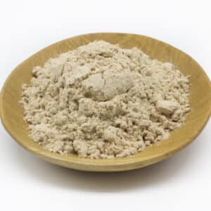 Slippery Elm (Ulmus rubra)