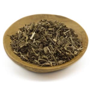 Vervain (Verbena officinalis)