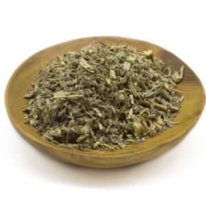 Wormwood (Artemisia absinthum)