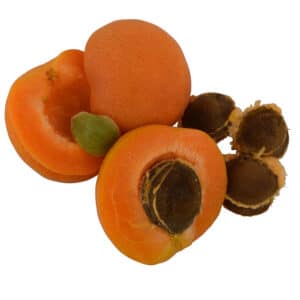Apricot Kernel Oil (Prunus armeniaca)