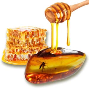 Honey Amber (Essential Oil & Absolute Blend)