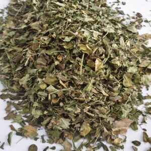 Moringa Leaf (Moringa oleifera)