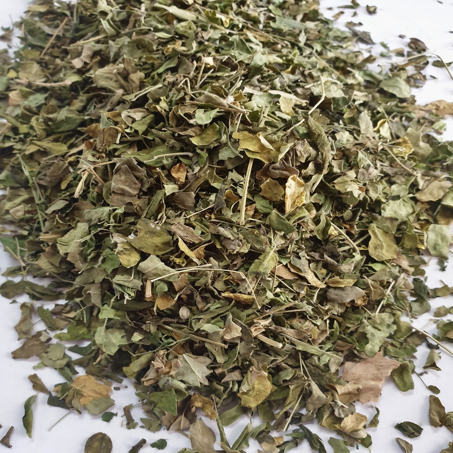 Moringa Leaf (Moringa oleifera)