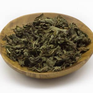 Spearmint (Mentha spicata)