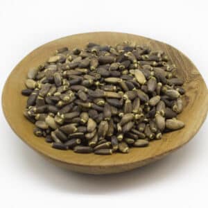 St. Mary's Thistle - Milk Thistle Seed (Silybum marianum)