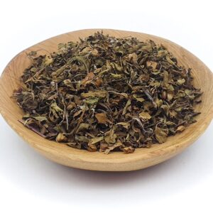 Tulsi - Holy Basil (Ocimum tenuiflorum)