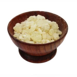 Sandarac (Tetraclinis articulata)