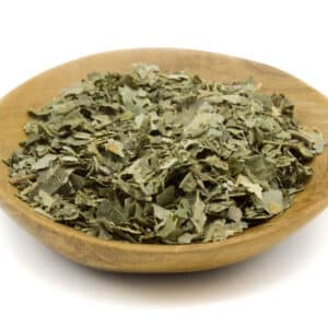 Linden Leaf (Tillia sp.)