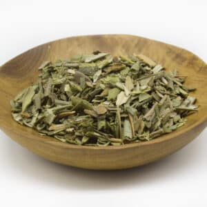 Olive Leaf (Olea europaea)