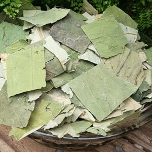 Lotus Leaf Tea (Nelumbo nucifera)