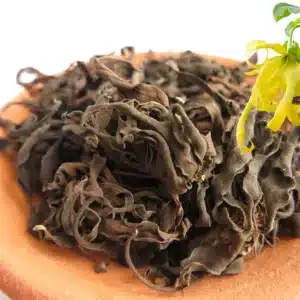 Ylang Ylang Flowers (Cananga odorata)