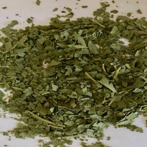 Strawberry Gum (Eucalyptus Olida)
