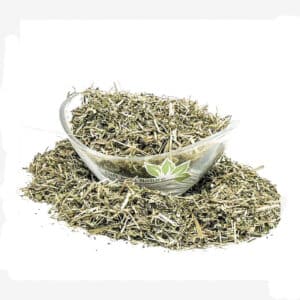 Watercress (Nasturtium officinale r. br.)