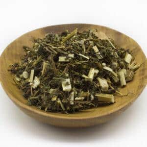 Sweet Annie / Chinese Wormwood (Artemisia annua)
