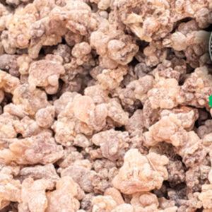 Sacred Frankincense - Fosos Dark Hojari (Boswellia Sacra)